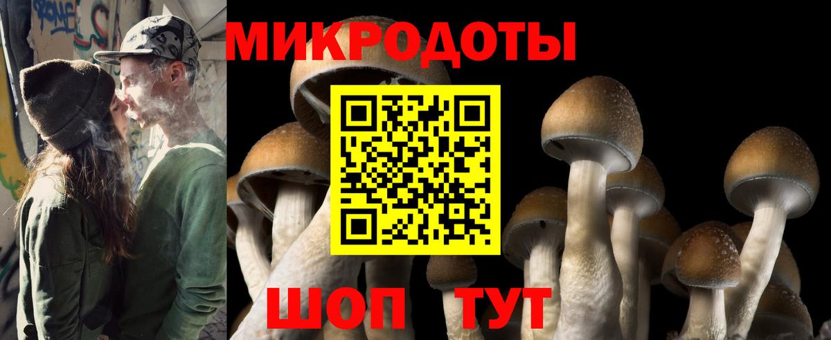 Россия  Псилоцибиновые грибы мицелий  Вход с VPN 
